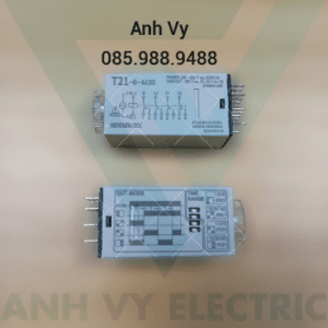 Bộ định thời Hanyoung T21-6-4A20