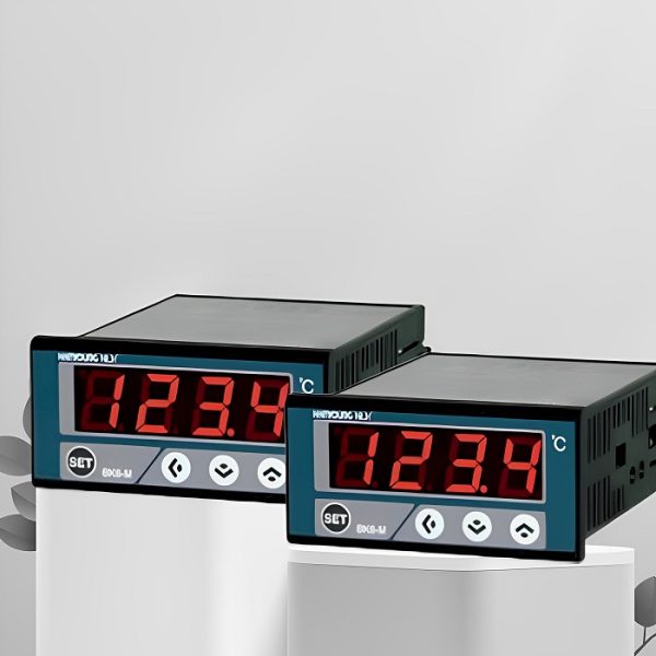Đồng hồ hiển thị nhiệt độ BK6-M-1 Hanyoung - Ảnh 2