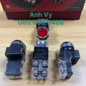 Nút nhấn không đèn phi 25 Hanyoung CRF-F25M1R
