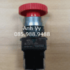 CÔNG TẮC KHẨN KHÔNG ĐÈN VIỀN NHÔM - Φ22 MRE-RR1R