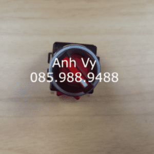 Alternative view of CÔNG TẮC XOAY CÓ ĐÈN 2 VỊ TRÍ VIỀN NHÔM MRT-R2A1DOR